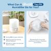imageLEVOIT Top Fill Humidifiers for Bedroom 25L Tank for Large Room Easy to Fill ampamp Clean 28dB Quiet Cool Mist Air Humidifier for Home Baby Nursery ampamp Plants Auto Shutoff and BPAFree for Safety 25HWhite